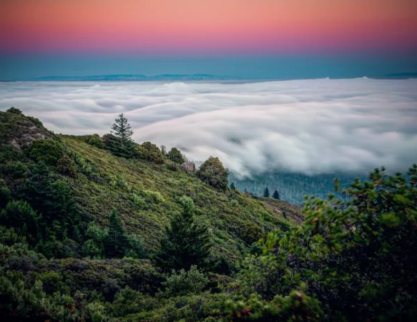 Hovering the Headlands